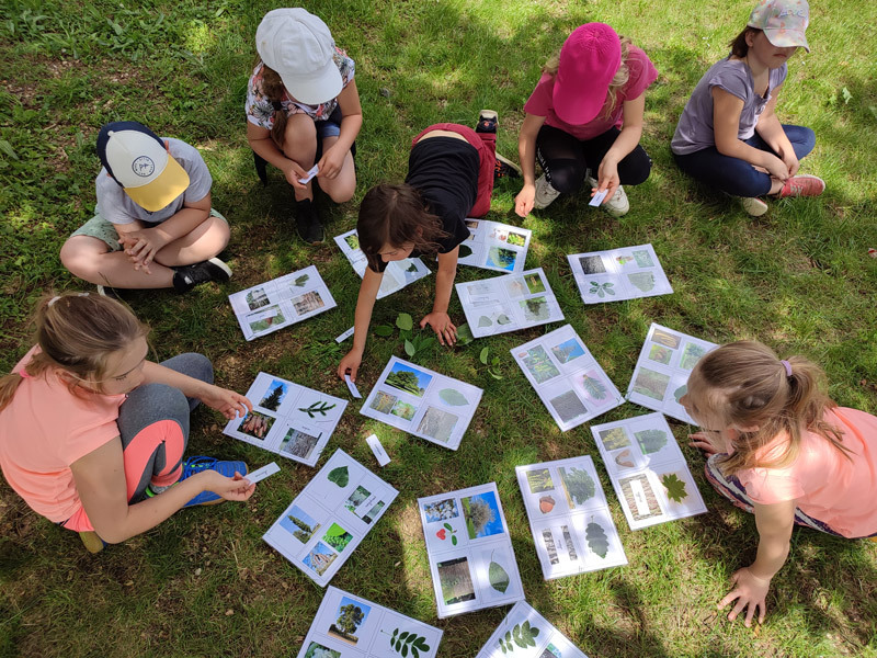 Animation nature auprès des scolaires - FDC21