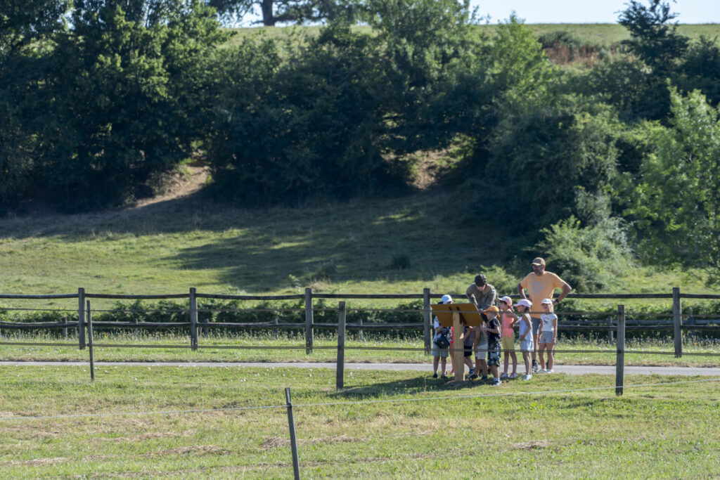 Animation sur sentier pédagogique - FDC71