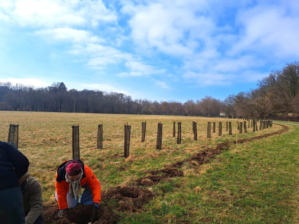 Chantier de plantation de haie - FDC 90
