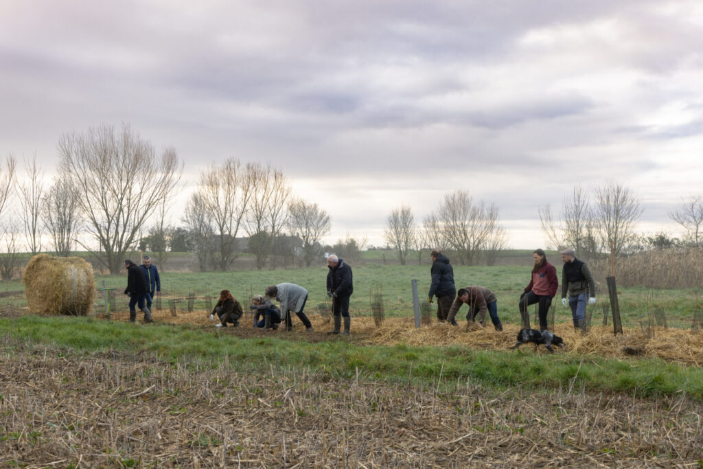Chantier de plantation de haie - DGestim