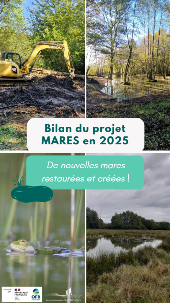 Vignette réel MARES