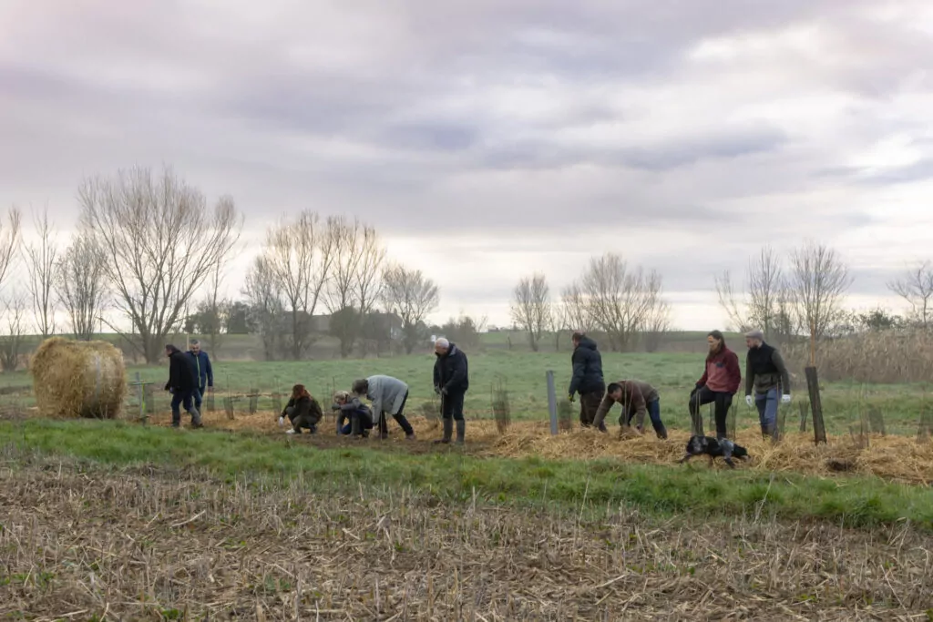 Chantier de plantation de haie - DGestim
